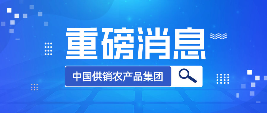 公司名称变更为中国供销农产品集团有限公司