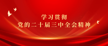 中国供销农产品集团深入学习贯彻党的二十届三中全会精神